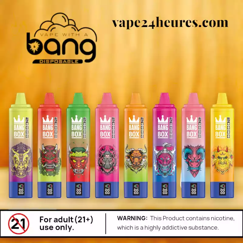 BANG BOX 20000 Puff – Vape XXL rechargeable