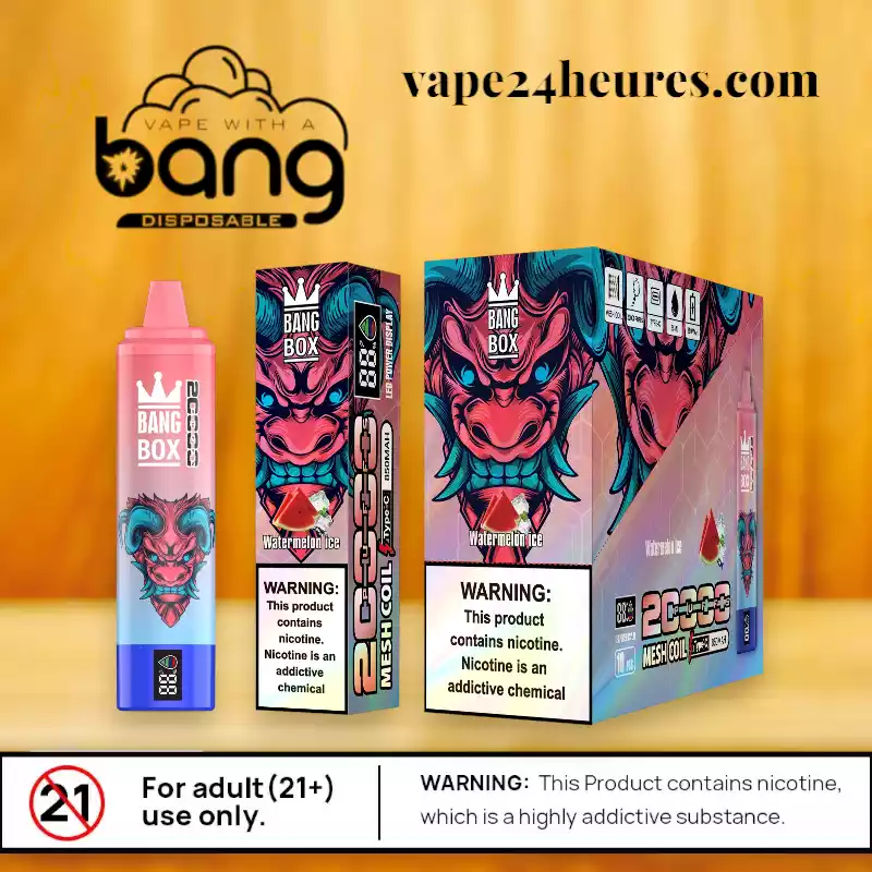 BANG BOX 20000 Puff – Vape XXL rechargeable