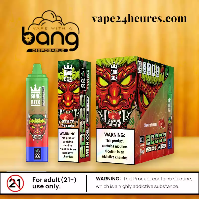 BANG BOX 20000 Puff – Vape XXL rechargeable