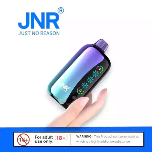 JNR FLEX ICE 21000 PUFF – Vape Intelligente XXL