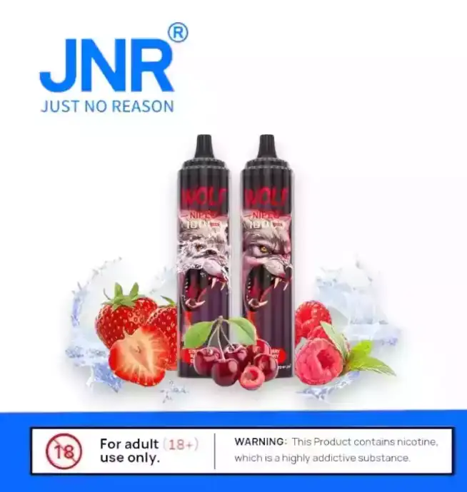 JNR Wolf 10000 Puff – Vape Puissante et Stylée