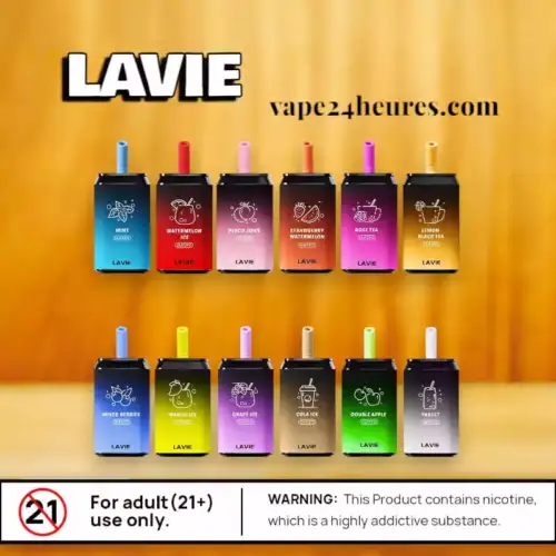 LAVIE Aurora 11000 – Vape Rechargeable 22ml