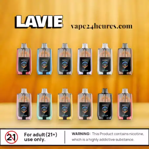 LAVIE CAMEO 30000 – Vape Jetable 25ml