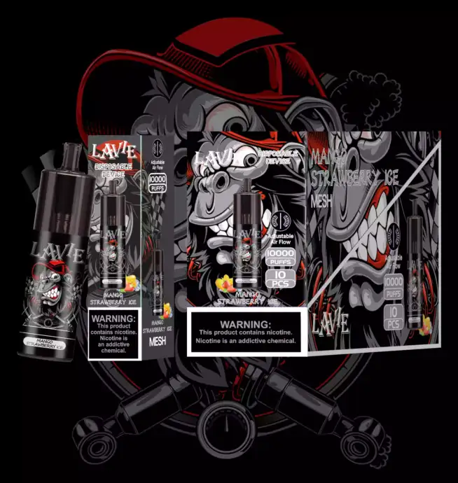 LAVIE OCO OC10000 – Vape Jetable Premium