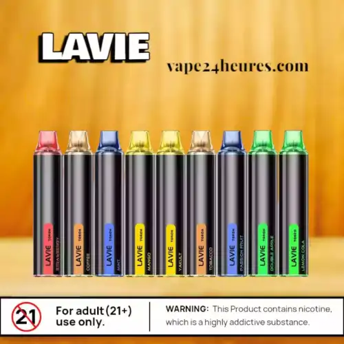 LAVIE Torch 6000 – Vape Design avec Type-C