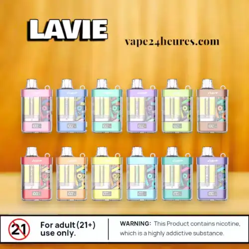 LAVIE VIGOR 15000 Vape Puissante & Fruité