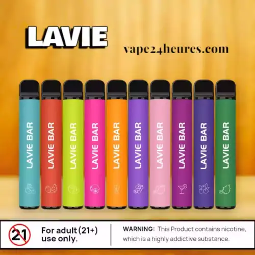 Lavie Bar 800 vape jetable compacte