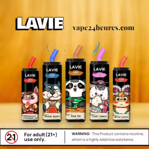Lavie Cola 6000 – Vape Jetable 15ml USB-C