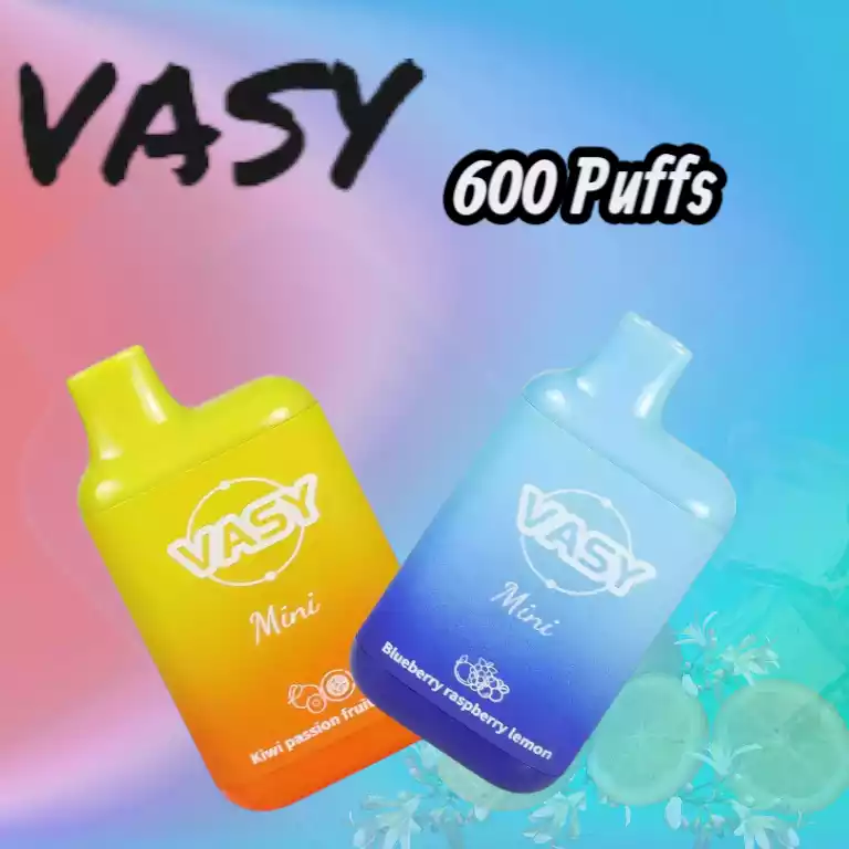 VASY Mini 600 Puffs – Vape compacte & intense