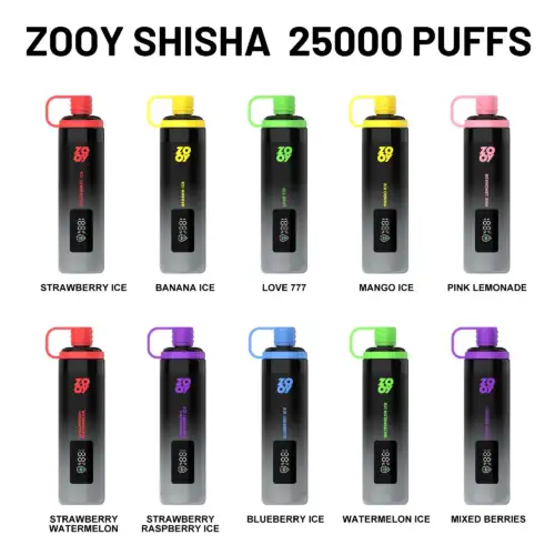 ZOOY SHISHA 25000 Puffs Autonomie Maximale