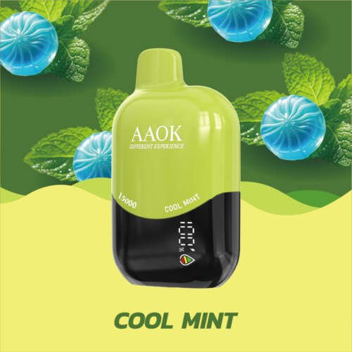 AAOK Y13915000 – Puissance & Saveurs